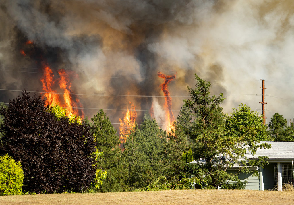 Trees burn near a home Tuesday, July 17, 2018 in Spokane, Wash. Fire crews from Spokane, Spokane Valley and Fire District 9 are fighting a fast-moving wildfire just north of Upriver Drive that has engulfed several homes and prompted fire officials to call for a level three evacuation for homeowners in the area.
