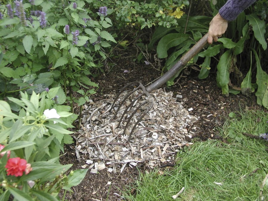 Mulch is applied to a flower bed in New Paltz, N.Y. A bulky organic material such as wood chips, although low in nutrients, will decompose to boost soil fertility.