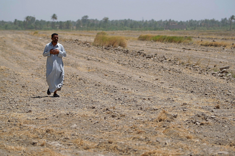 A farmer walks through his fallow field where he normally grows rice, in the Iraqi town of Mishkhab, south of Najaf, on June 26. Iraq has banned its farmers from planting summer crops this year as the country grapples with a crippling water shortage that shows few signs of abating. Water levels across the Tigris and Euphrates Rivers have fallen by over 60 percent in two decades, according to a 2012 report by the U.N.’s Food and Agriculture Organization.