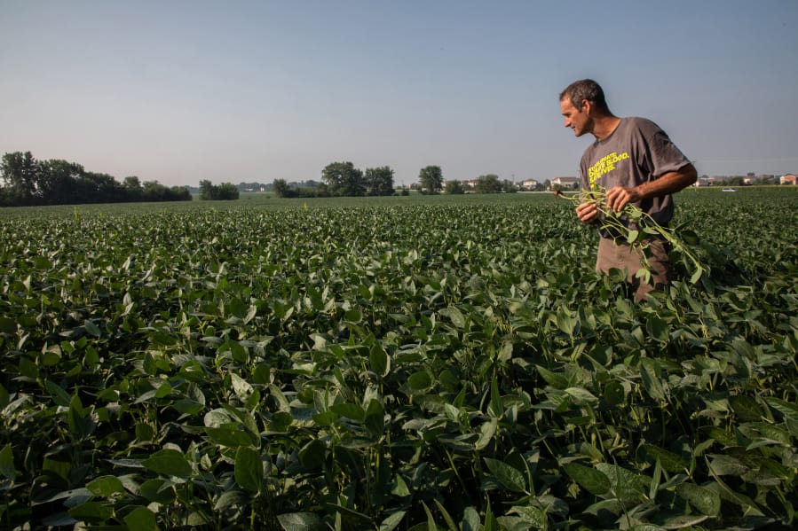 John Kiefner, 54, checks soybean plants in July on his farm near Manhattan, Neb.