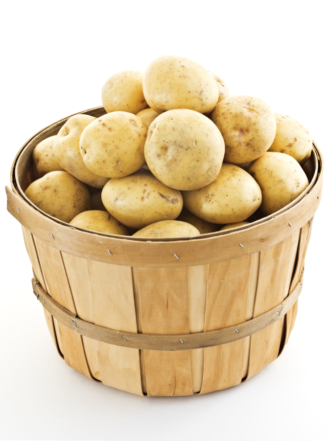 Yukon gold potatoes are all-purpose potatoes, good for any kind of cooking.