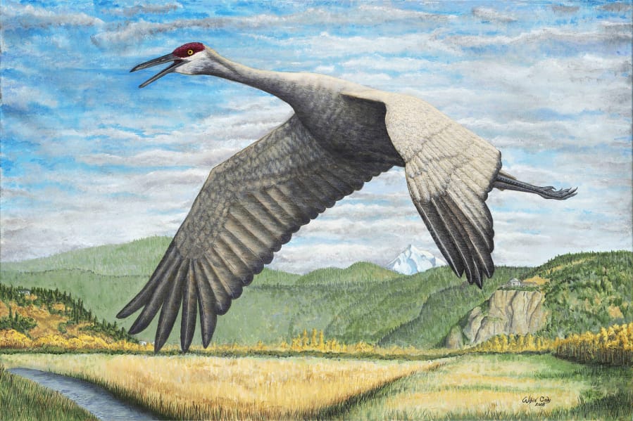 Wilson Cady’s painting, “Sandhill Crane Over Steigerwald,” was selected as the poster image for the 2018 Washougal Art Festival.