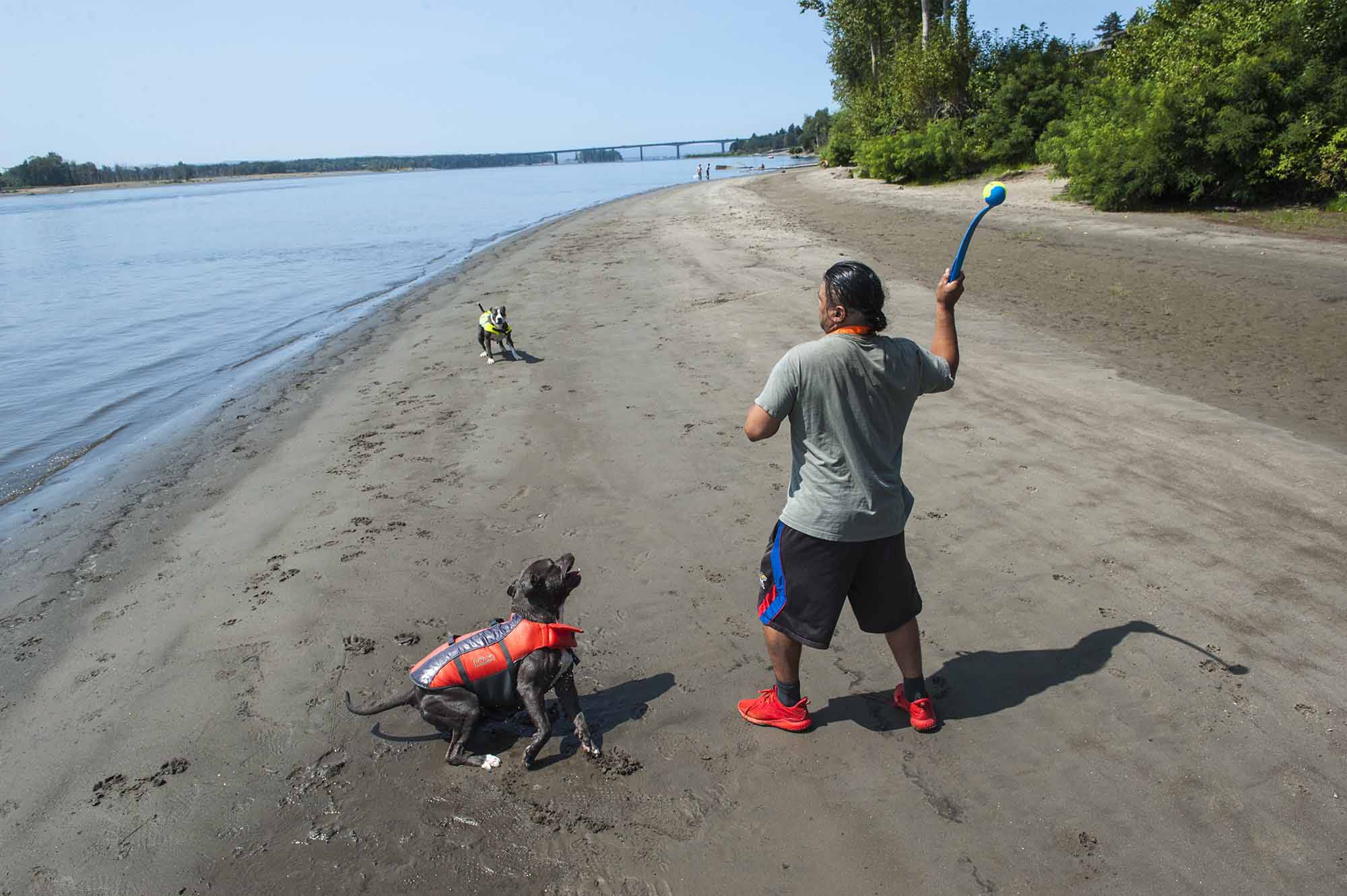 Michael Rodriquez of Camas throws a ball for his dogs Shadow and Penelope while walking along the Columbia River on Friday afternoon.