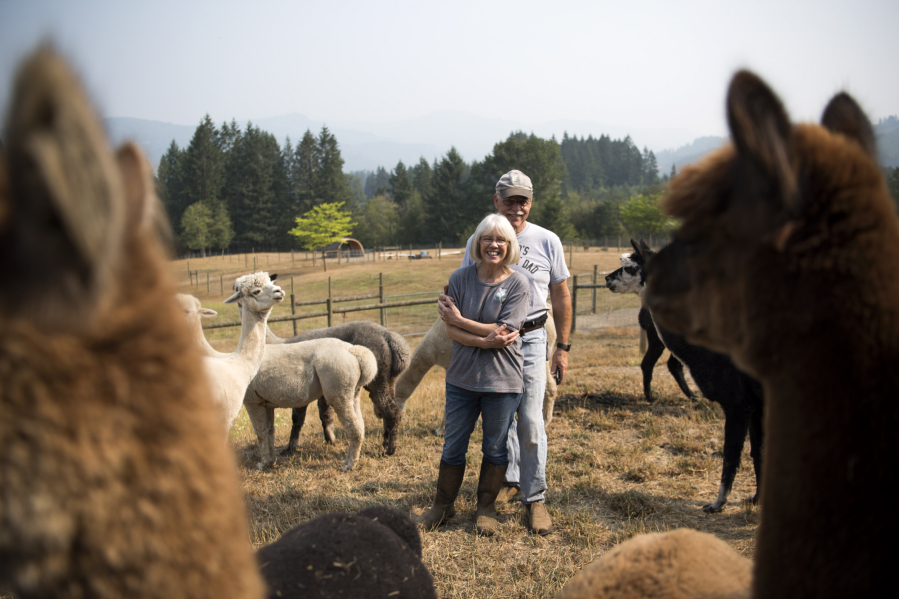 Karin and Randy Finch stand among their 68 alpacas at White Oak Alpacas. The couple started the farm 18 years ago and now own 27 alpacas and board 41 more at their property near Woodland.
