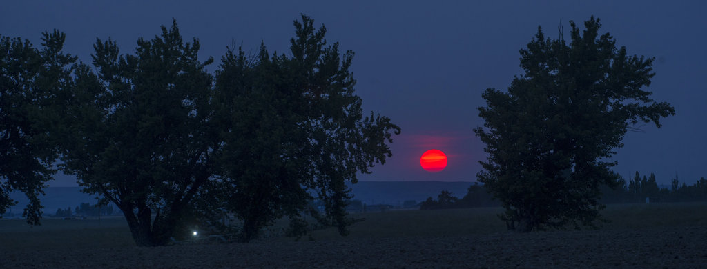 In this Monday, July 30, 2018 photo, with a sky full of wildfire smoke and haze, the sun set bright red south of Touchet, Wash.