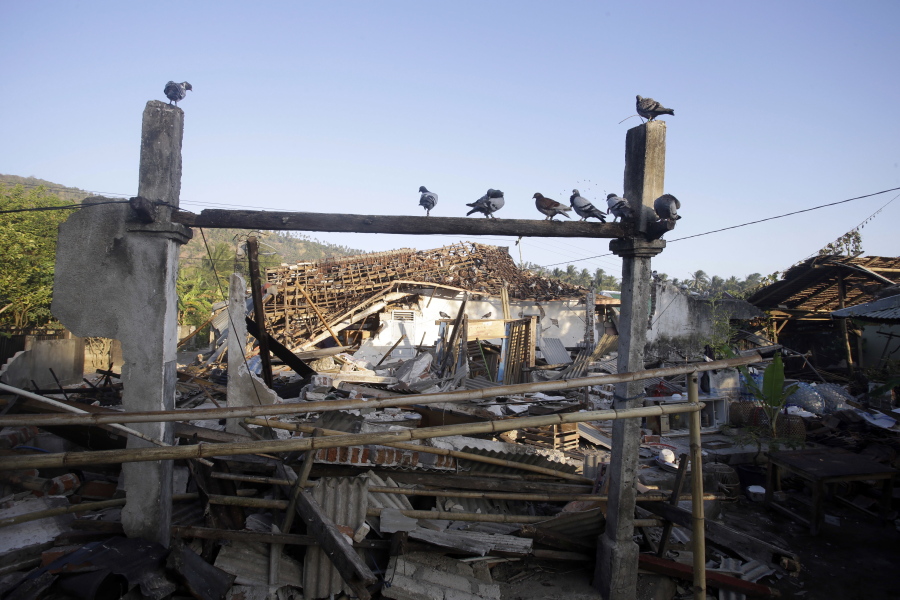 Pigeons sit on parts a building still standing Thursday after a series of earthquakes struck the island of Lombok, Indonesia.