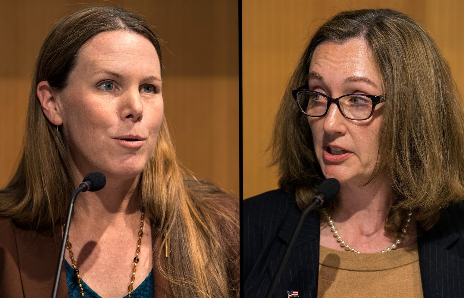 Vancouver City Council, position 1 candidates Sarah Fox  and Laurie Lebowsky will advance to the general election in November.