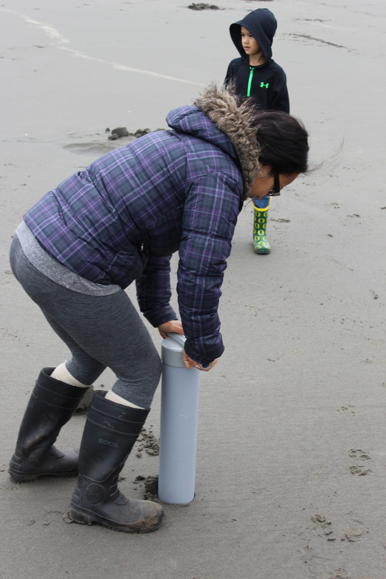 A clammer digs for razors on Long Beach in better times. While razor clam numbers are low on the Long Beach peninsula, numbers elsewhere in Washington are strong.
