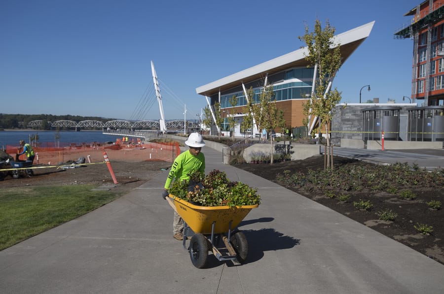 Moses Leon of Colors NW lends a hand with last-minute landscaping Friday as crews prepare for Saturday’s grand opening of The Waterfront Vancouver.
