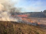 A controlled burn at the Ridgefield National Wildlife Refuge on Friday cleared about 26 acres of land to improve habitat for native plants.