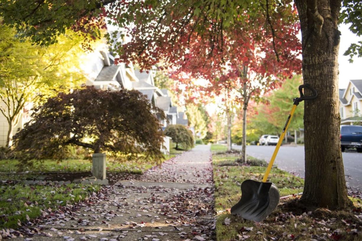 The signs of fall are appearing around the Forest Ridge neighborhood. But just as the trees are going dormant, some local residents are working to revive the Forest Ridge neighborhood association.