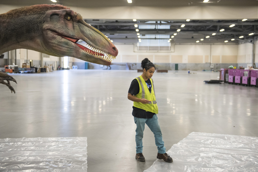 Ricky Rodriguez with Jurassic Quest stops to think in front of a dinosaur while working on a display at the Clark County Event Center at the Fairgrounds on Thursday afternoon. The exhibit opened Friday and features more than 100 animatronic dinosaurs.