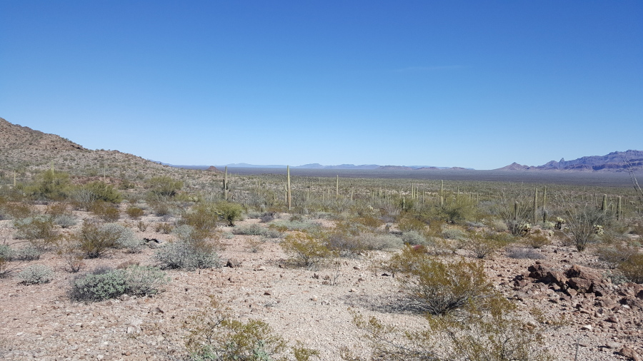 The desert terrain close to Arizona’s boundary with Mexico near Lukeville, Ariz. Large groups of Guatemalan and other Central American migrants have been abandoned in recent weeks. U.S. Border Patrol officials say the trend is putting hundreds of children and adults at risk.