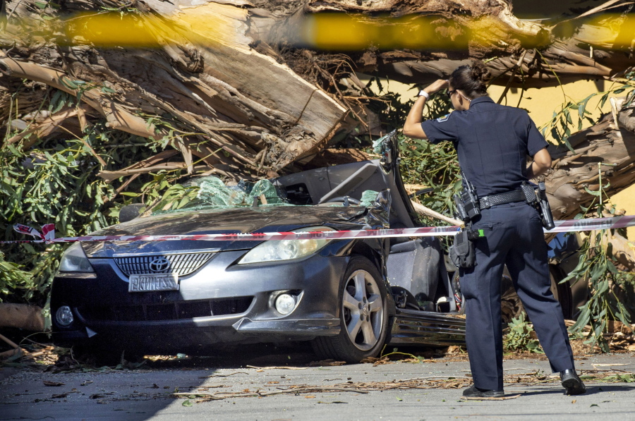 A Tustin police officer looks over the debris of a car that was crushed by a 40-foot tall eucalyptus tree that snapped during high winds Monday. A woman inside the car was killed as she was backing out of a carport in Tustin. Potentially powerful winds combined with dry weather are raising the threat of wildfires in California.