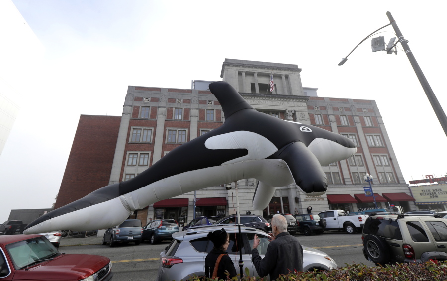 Supporters of dam removals and other measures intended to help endangered orca whales stand near a giant inflatable orca Wednesday outside a building in Tacoma where the Southern Resident Killer Whale Recovery Task Force was meeting for a two-day work session.