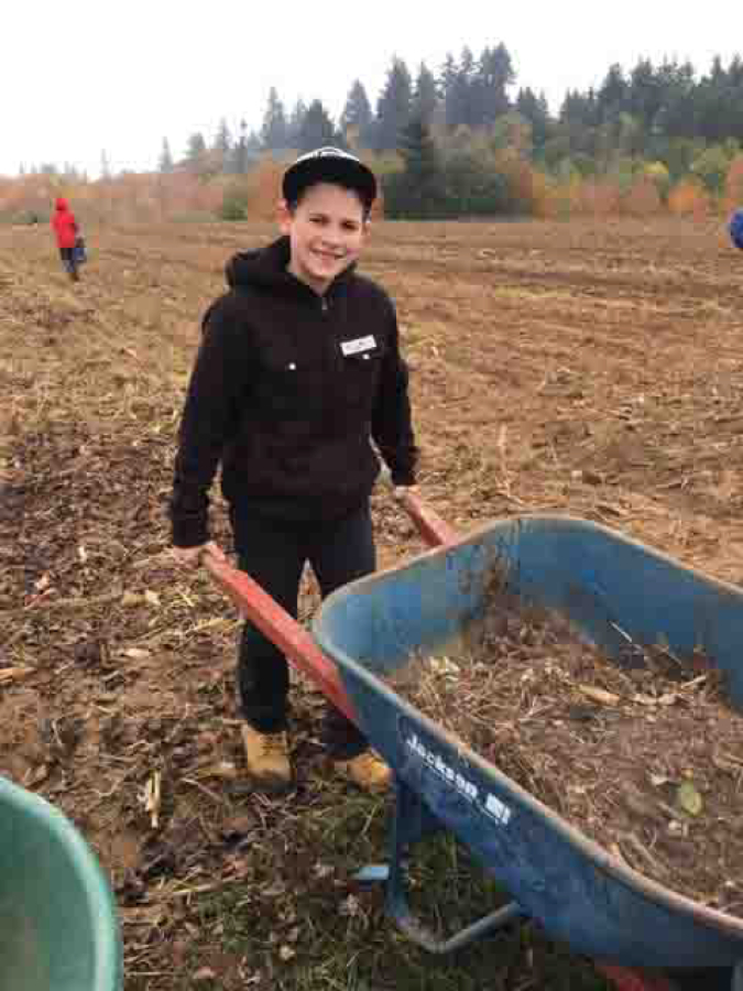 Northeast Hazel Dell: Image Elementary School fifth-grader Mason Phernetton pushes a wheelbarrow at the 78th Street Heritage Farm during a Farm to Fork event, where students helped put a garden to bed for the winter and learned about where their food comes from.
