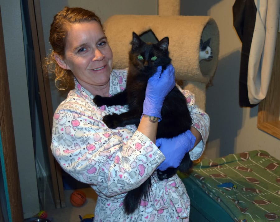 Dena Hugh cuddles Bradley in the kitten room at her house, where she cared for 10 kittens who came to Furry Friends from a hoarding situation in Cowlitz County. Hugh has volunteered with Furry Friends since December 2015.
