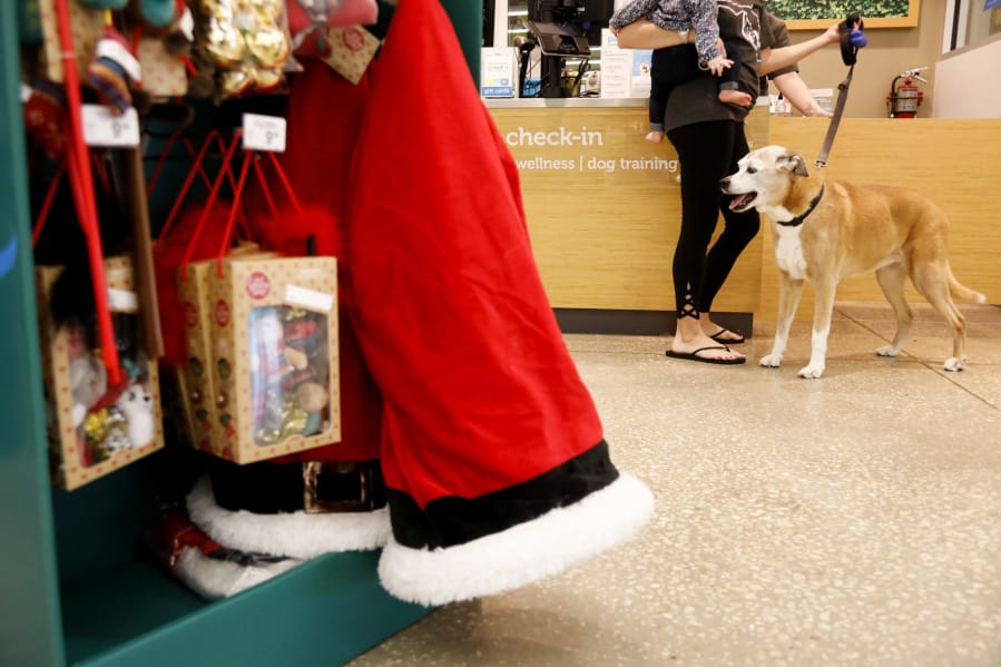 A dog waits to be groomed near some items from the Holiday Tails Collection at a Petco Animal Supplies Inc. store in Seminole, Fla.