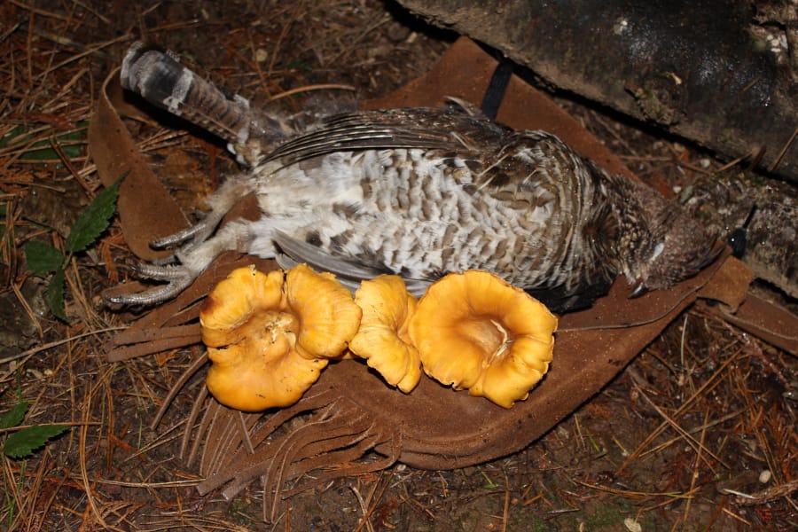 The flavors of grouse and chanterelle mushrooms meld well to make for a delightful meal, and they are both availalbe right now in local forests.