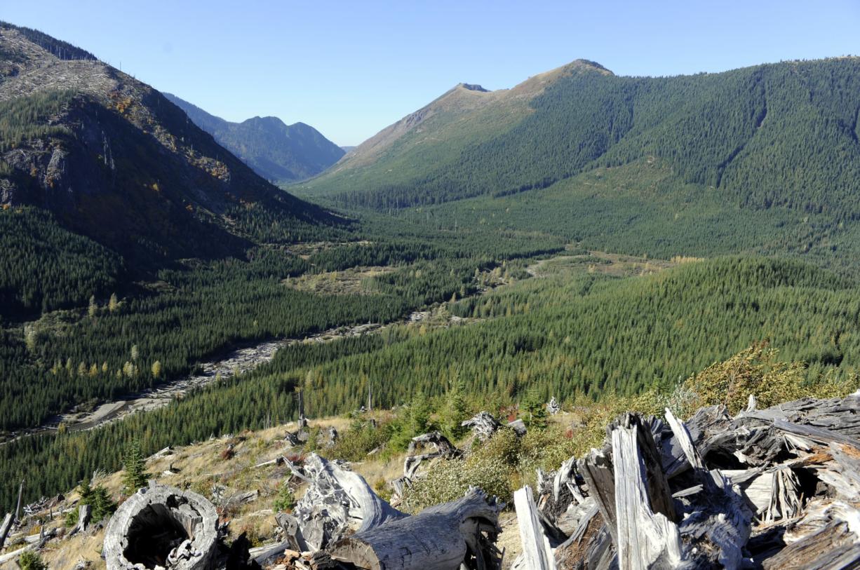 A view of the area, top right, where the Ascot Mining Company wants to do more exploratory drilling above the Green River and on the border of the Mt. St Helens National Volcanic Monument near Randle in 2011.