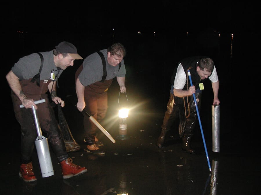Nightime clammers search for razor clams on Long Beach Peninsula. The only clam dig scheduled for the peninsula this fall will happen this Saturday evening, but clammers should expect a lot of smaller clams.