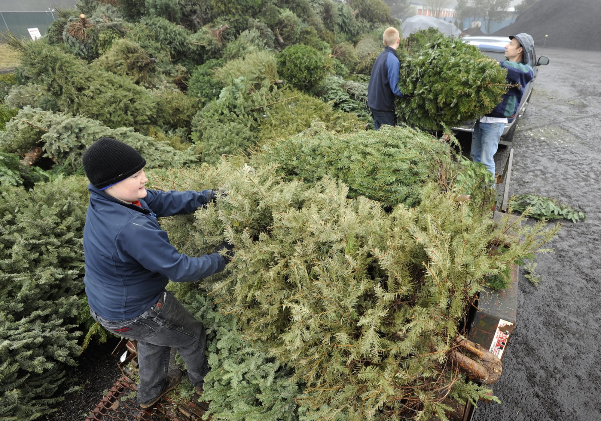 The Boy Scouts will hold their annual Christmas tree recycling event on Saturday.