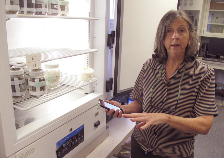 Ohio State University entomologist Susan Jones discusses the app she created with tips on spotting bed bugs and getting rid of them as she shows off a cooler with containers of bed bugs, in Columbus, Ohio.