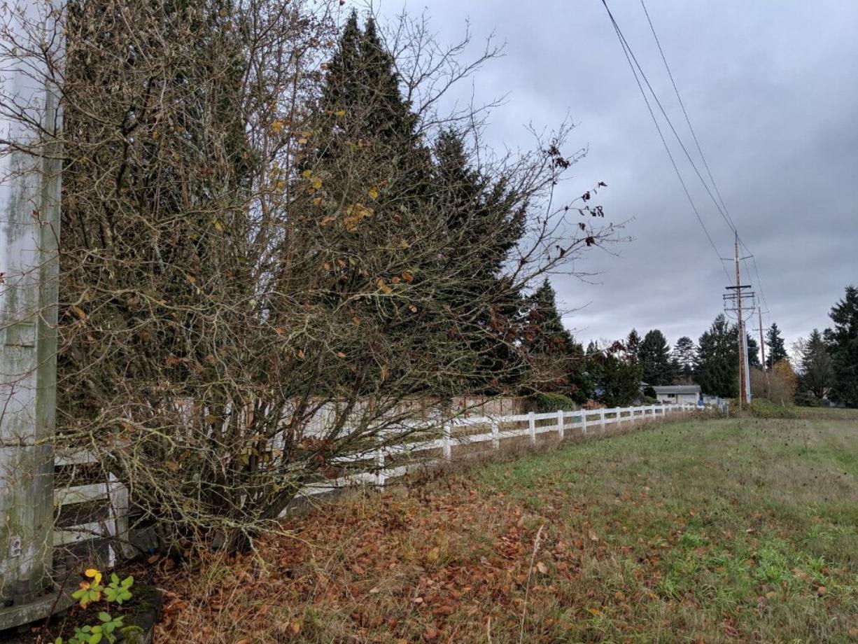 Ed and Dollie Lynch donated 9 1/2 acres adjacent to their family home in Vancouver to be used as a park.