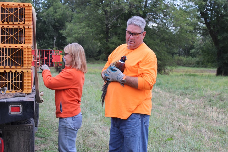 Julie Rouzee and Randy Dalton release pheasants at the Shillapoo Wildlife Area as volunteers with the Vancouver Wildlife League. The pheasant releases are one of many community-minded projects taken on by the league, which celebrates its 90th birthday this year.
