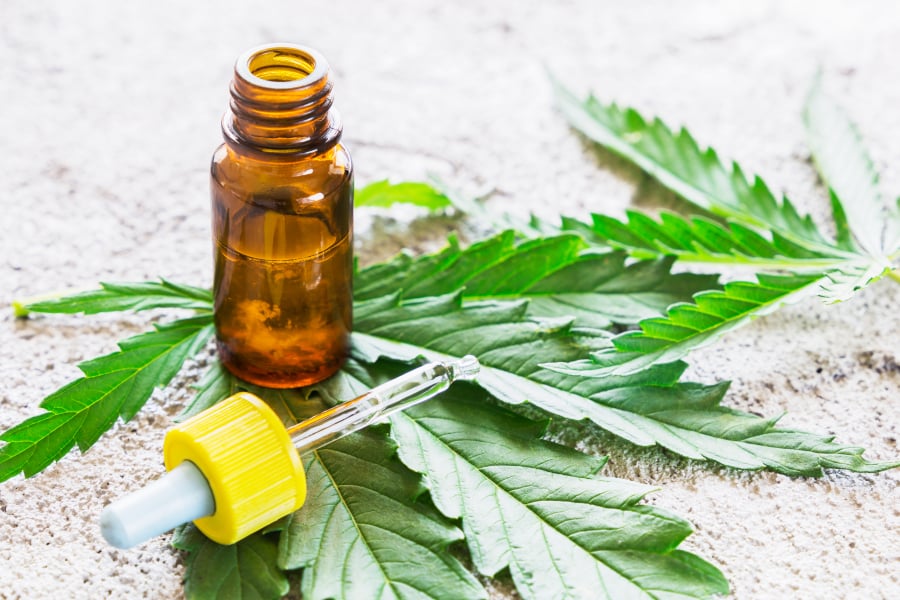 Cannabis oil is believed by some pet owners and enthusiasts to be more effective than traditional veterinary medicines in treating chronic pain, inflammation and anxiety in dogs and cats.