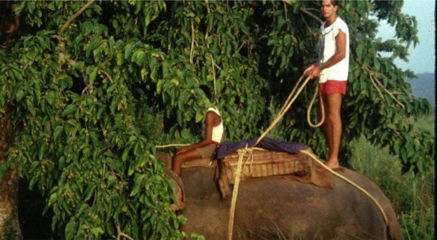 Eric Dinerstein stands on an elephant in Nepal in the mid-1980s.