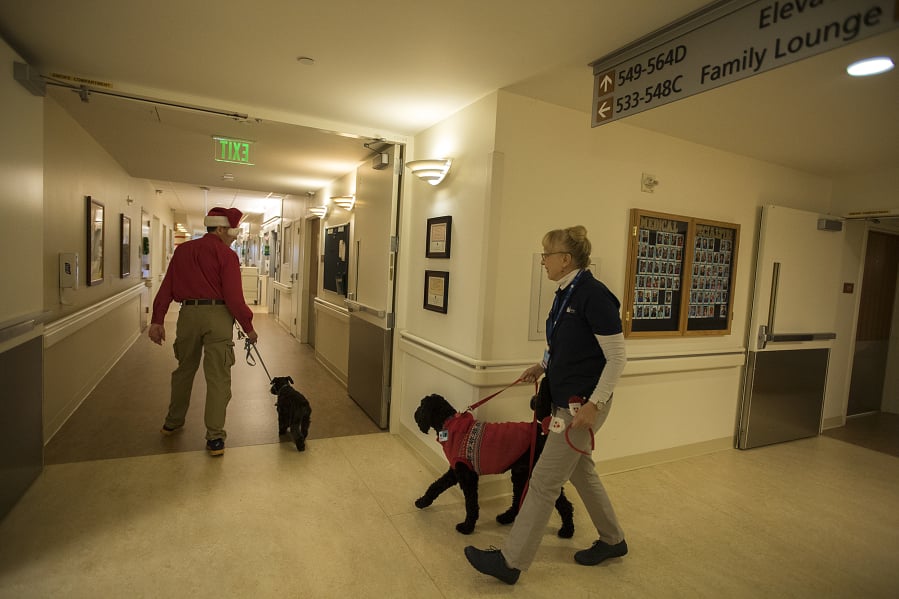 Volunteer Peter Christensen walks through the halls with his therapy dog, Mukaluka Dirtypaws, 11, with fellow volunteer Janice Johnson and her therapy dog, Mr. Morgan, 6, at Legacy Salmon Creek Medical Center a few days before Christmas.