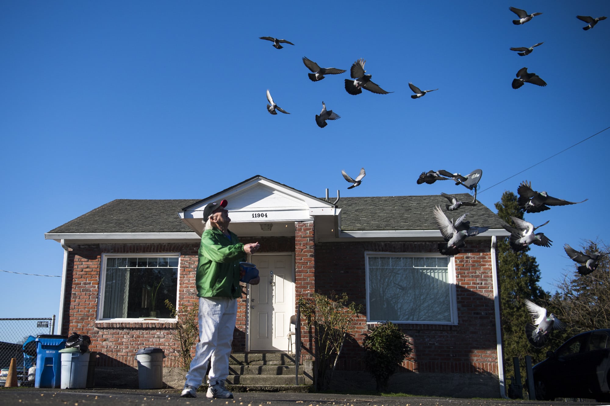 Duke Wager, 96, of Vancouver feeds pigeons outside his home in Vancouver on Monday. Wager started raising pigeons with his dad when he was 10 years old, and carried on the hobby for more than 60 years. He even participated in pigeon racing for a time in his later years.