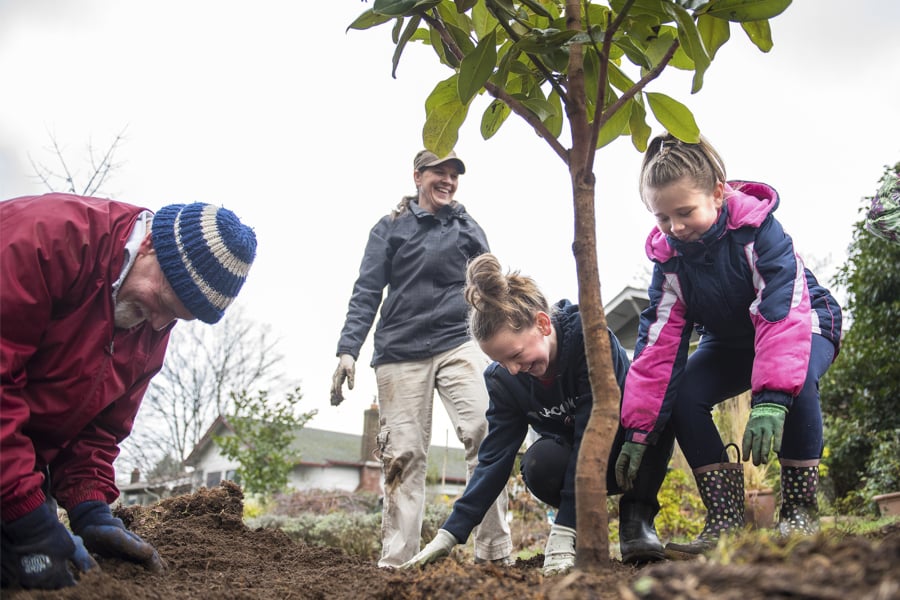 James Lanz, left, Nicki Eisfeldt, Addy Eisfeldt, 12, and Lynken Henke, 8, laugh while planting a magnolia tree in Vancouver’s Carter Park neighborhood as part of a Martin Luther King Jr. Day service project. Volunteers planted 40 trees along West 33rd Street.