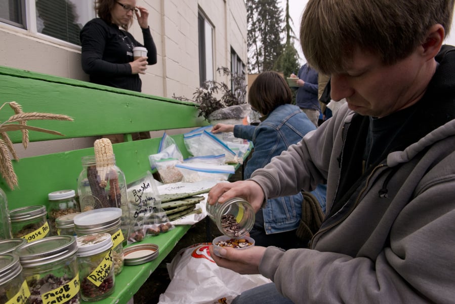 Jason Bringman of Vancouver grabs some seeds during a seed swap Sunday at the North County Community Food Bank in Battle Ground.