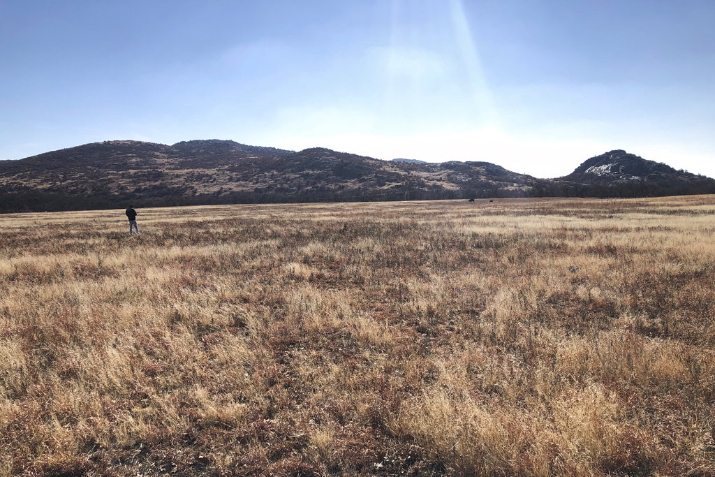 In this Dec. 31, 2018 photo, a man takes photos of bison in the Wichita Mountains Wildlife Refuge, in Comanche County, Okla. The U.S. Fish and Wildlife Service is directing dozens of wildlife refuges including this one to make sure hunters and others have access despite the government shutdown, according to an email obtained Wednesday by The Associated Press.