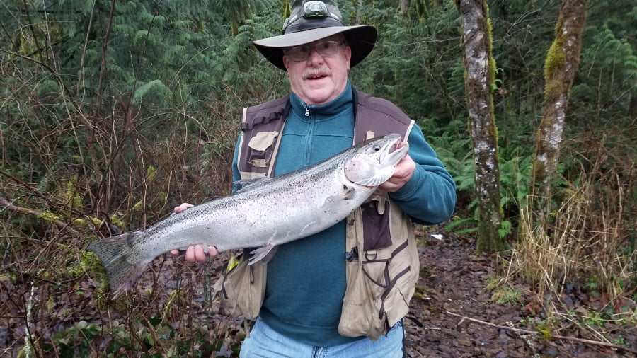This winter steelhead was caught recently from Oregon's Sandy River.