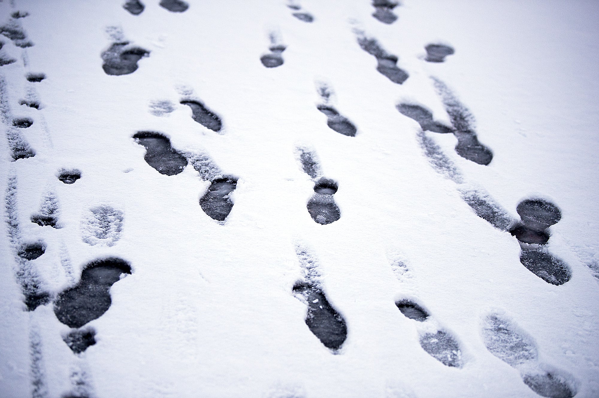 Footprints are seen in a small accumulation of snow in Cascade Park on Tuesday morning, Feb. 5, 2019.