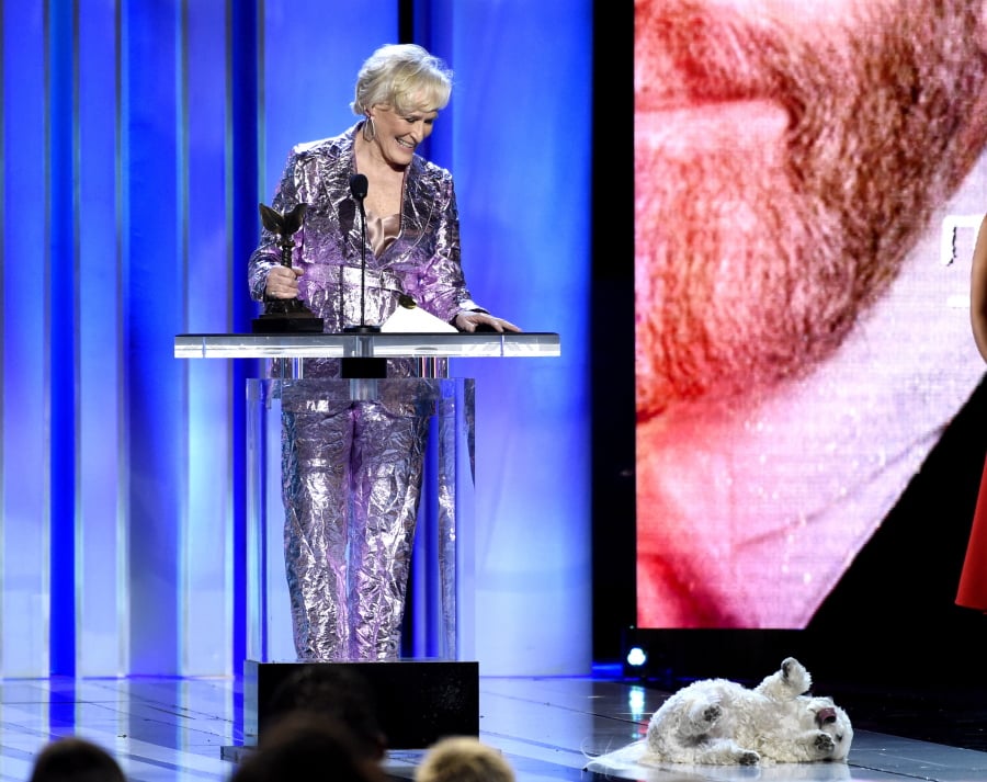 Glenn Close, winner of the award for best female lead for “The Wife,” reacts as her dog, Sir Pippin of Beanfield, rolls onstage at the 34th Film Independent Spirit Awards on Saturday, Feb. 23, 2019, in Santa Monica, Calif.