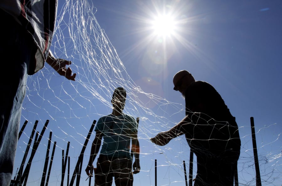 Gillnetters repair a net in Astoria, Ore. A bill before the Washington Senate would eliminate nontribal gillnetting on the lower Columbia River.