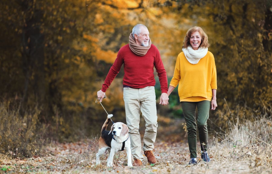Dog walking is leading to more broken bones in older adults.