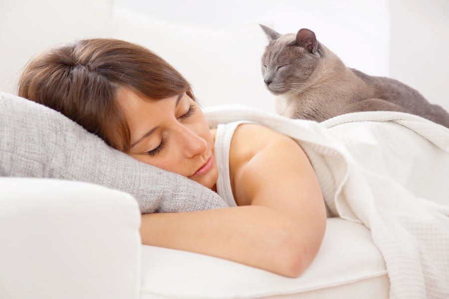A midday sleep appears to lower blood pressure levels at the same magnitude as other lifestyle changes.