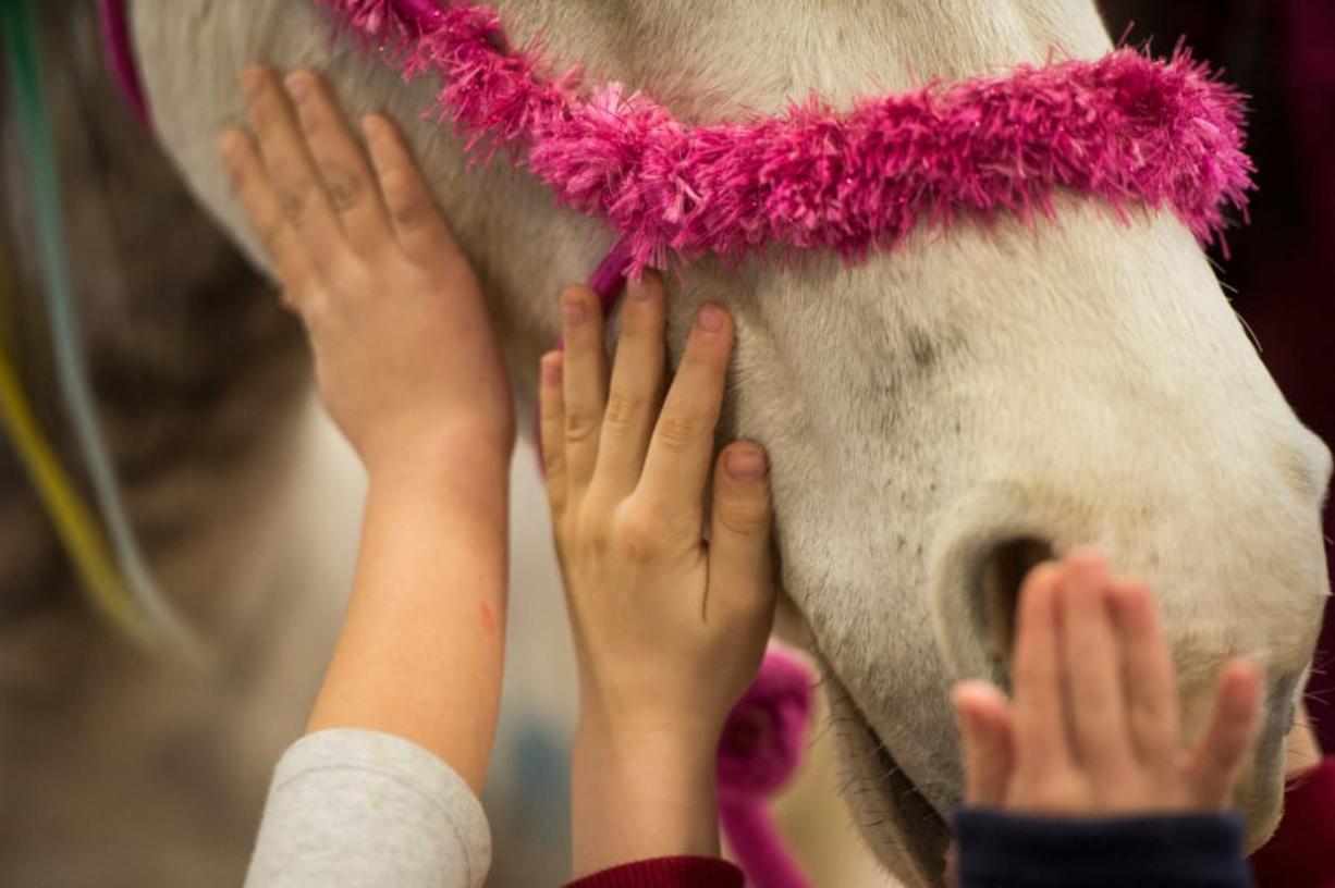 Children pet Shelby, a horse dressed like a unicorn, during the last day of the Washington State Horse Expo.