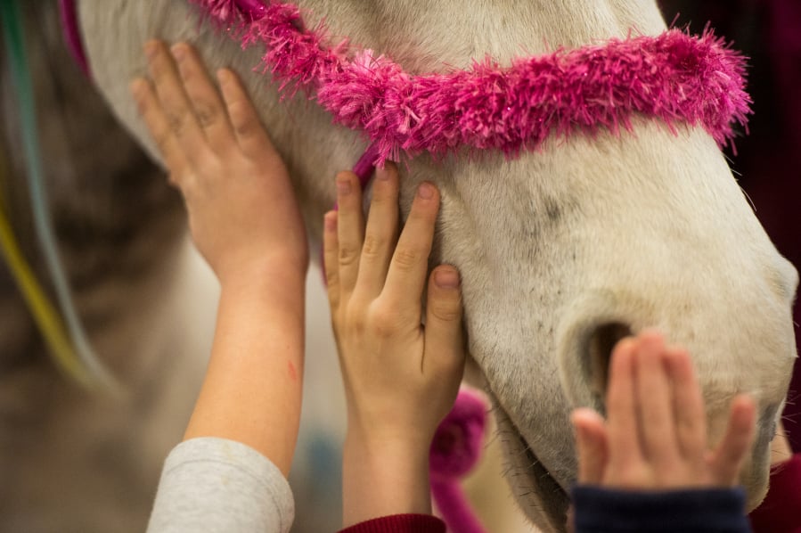 Children pet Shelby, a horse dressed like a unicorn, during the last day of the Washington State Horse Expo.