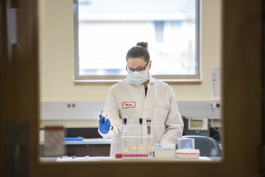 Forensic scientist Mariah Coffey works on a DNA sample at the Washington State Patrol Crime Lab on March 7. Coffey was hired to exclusively test rape kits.