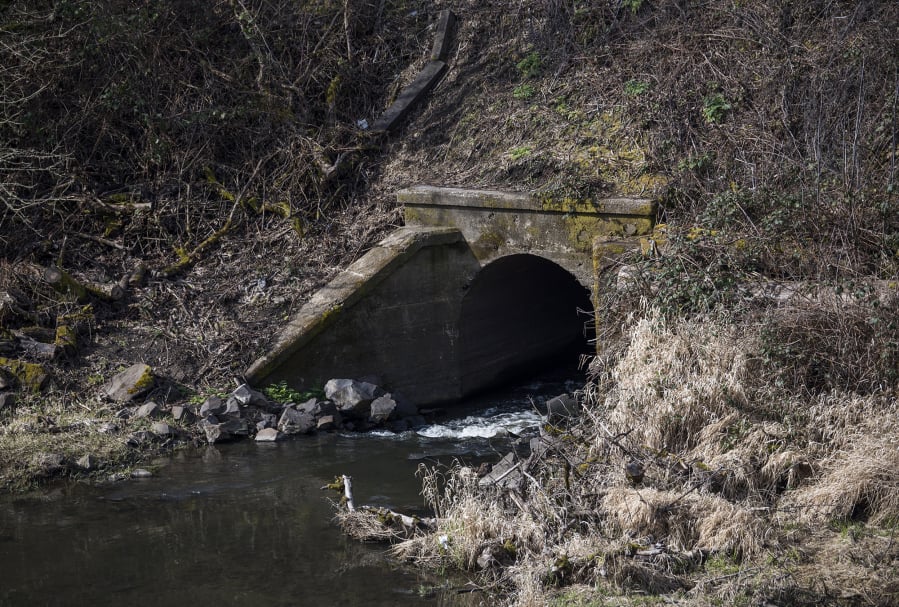 Two large culverts connect the mouth of Burnt Bridge Creek and Vancouver Lake under an isthmus constructed to carry the BNSF Railway’s main line and a section of Lake Shore Avenue.