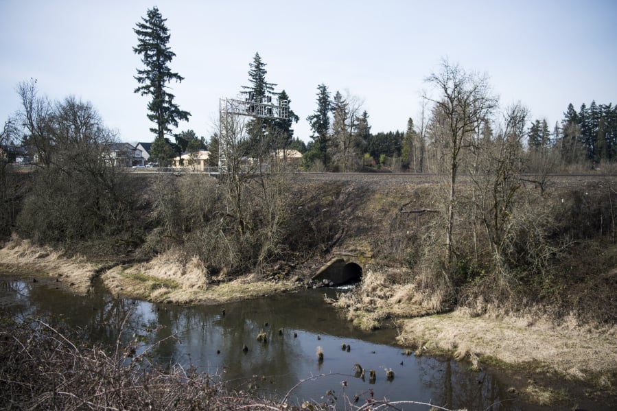 Burnt Bridge Creek forms a small estuary near where it flows through two culverts into Vancouver Lake.