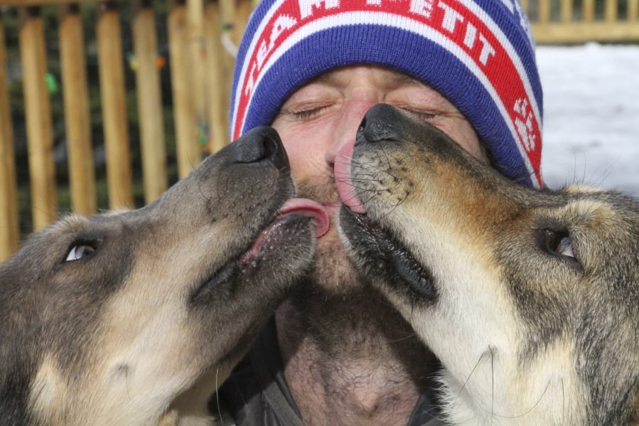 This Wednesday, March 20, 2019, photo shows Iditarod musher Nicolas Petit getting kisses from two of his dogs in Anchorage, Alaska. The Frenchman was in the lead of this year’s race but his dog team quit running after Petit yelled at Joey, left, to stop picking on Danny, right. Petit says that isn’t the reason the dogs quit running; instead, they quit about the same point the team got lost in a blizzard in the 2018 race.