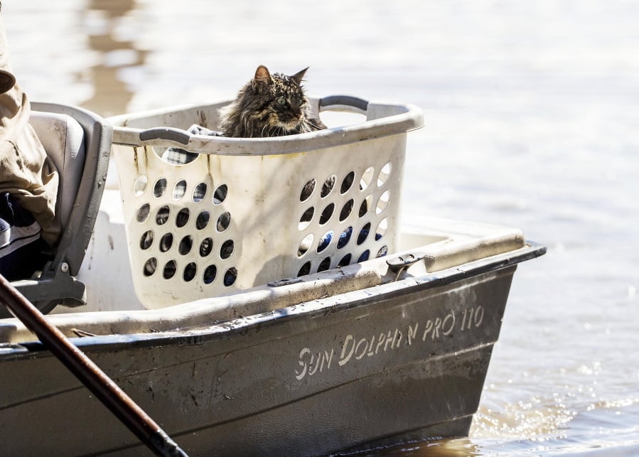 Bob the cat gets a boat ride Wednesday after his rescue by Treyton Gubser and Daniel Gubser in Hamburg, Iowa.