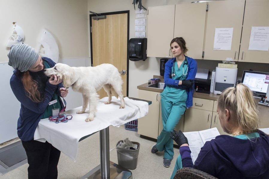 A planned expansion at the Humane Society for Southwest Washington’s Vancouver clinic would add a behavioral resource and training center for dog owners who need advice and assistance.